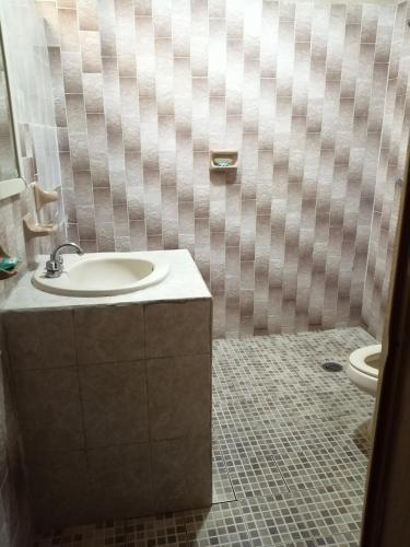 a bathroom with a sink and a toilet at Hotel Delfines Del Mar in Acapulco
