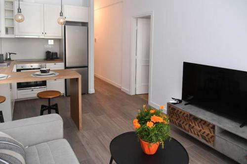 Modern Apartment in Ipitou, Plaka