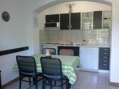 Kuchyňa alebo kuchynka v ubytovaní Guest House Violeta