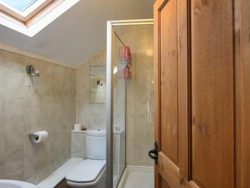 a bathroom with a toilet and a shower at Tir-y-coed in Gwernymynydd