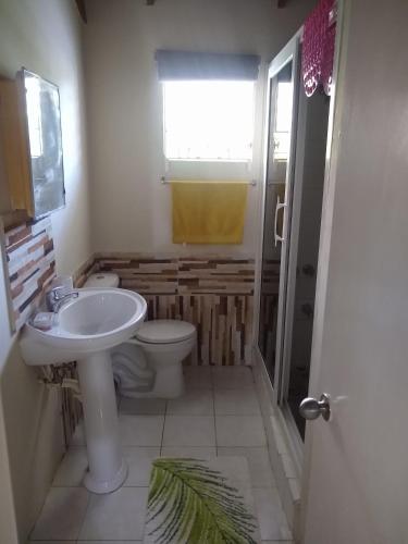 ein Bad mit einem Waschbecken, einem WC und einem Fenster in der Unterkunft Aquamarine Ave in Montego Bay