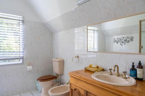 a bathroom with a toilet and a sink and a mirror at Serenity - Gold Coast hinterland getaway for a couple, family or group in Mount Tamborine