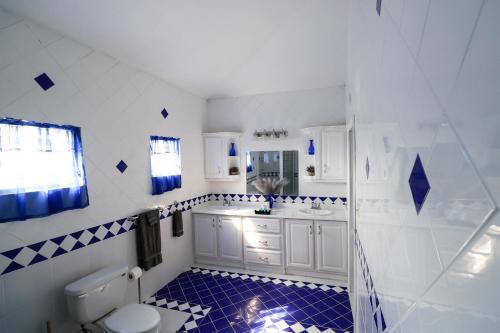 a bathroom with blue and white tiles and a toilet at C&D Residential Penthouse in The Valley