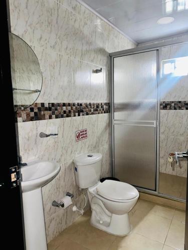 a bathroom with a toilet and a sink and a shower at Apartamentos turísticos Mirador de la 20 in San Andrés