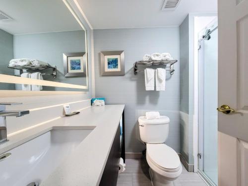 Ένα μπάνιο στο Holiday Inn - Belcamp - Aberdeen Area by IHG