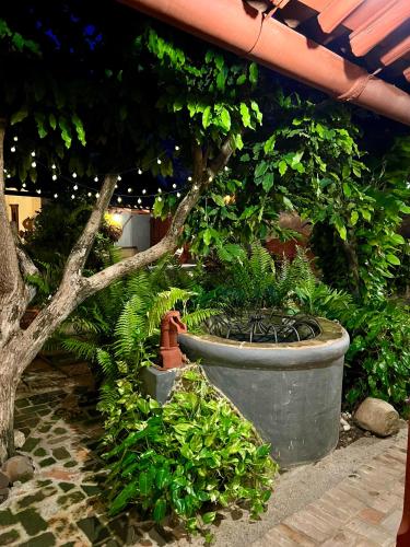 a large planter filled with plants and a tree at CASA SINNING-año1637 in Mompos