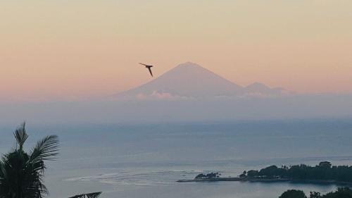 a bird flying in the sky over a mountain at Villa Umbrella Lombok in Senggigi 