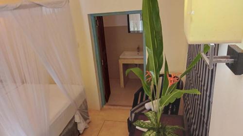 een hal met een spiegel en een tafel met een plant bij Hiriketiya Cove Inn in Matara