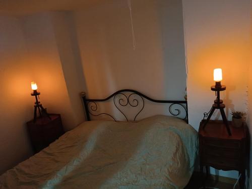 a bedroom with a bed with two lamps on it at l'HYPERCENTRE in Clermont-Ferrand