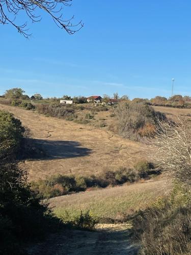Photo de la galerie de l'établissement Las Vignes Zimer 1 - Où le calm apaise l'âme, à Cazes-Mondenard