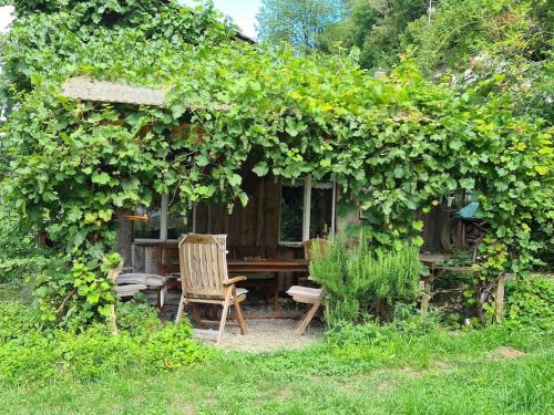 a wooden table and chair under an ivy covered house at Naturoase Säntisblick-Auszeit am Wald und Bach in Kradolf