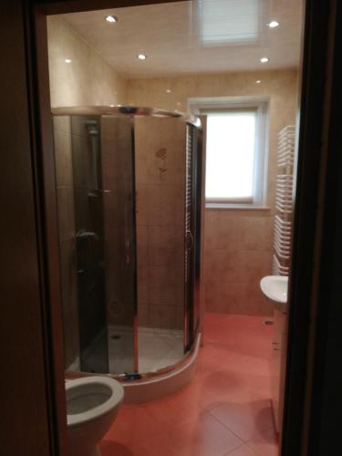 a bathroom with a shower and a toilet at Przystań Przylasek in Krakow