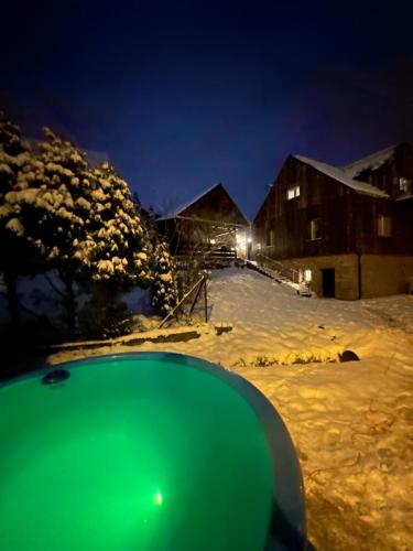 Krzyżowa的住宿－W deSki dom apartamenty，夜晚雪中的一个绿色物体