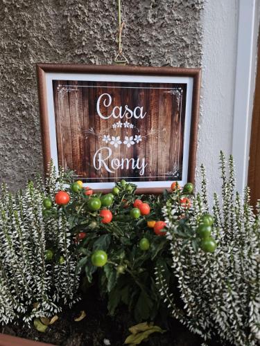 a picture of a tomato plant in front of a sign at Casa Romy in Rovere della Luna