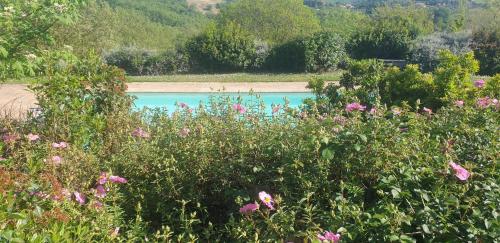 a field of flowers in front of a body of water at Alto Locandieri in Montebagnolo