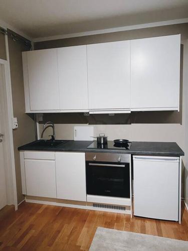 Virtuvė arba virtuvėlė apgyvendinimo įstaigoje Apartment in the heart of Bergen