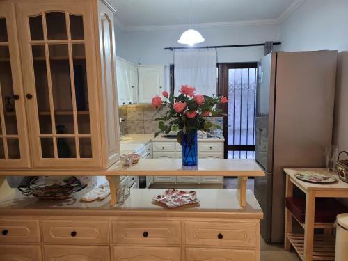 Fotografia z galérie ubytovania Lefkada Center Apartments v destinácii Lefkada