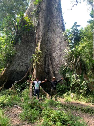 Gallery image of Ayahuasca Eco Tours in Iquitos