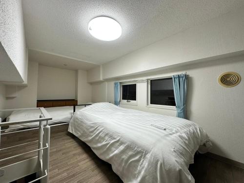 AMS Hiragishi 11 Rm 502 平岸駅から3分 解放感あって明るいお部屋 家族やお友達と 札幌ドームや中心部まで1駅