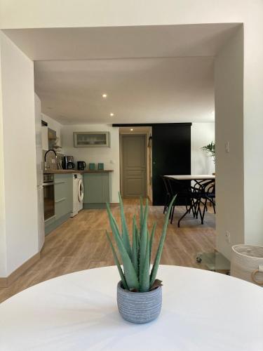 Appartement T2 rez de chaussée villa Les Tamaris Aix-les-Bains