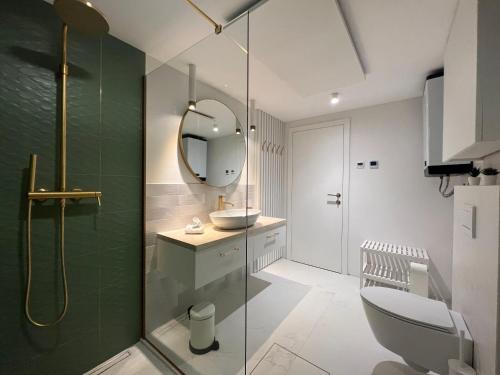 a bathroom with a shower and a toilet and a sink at Ljubljana Urban Apartments in Ljubljana
