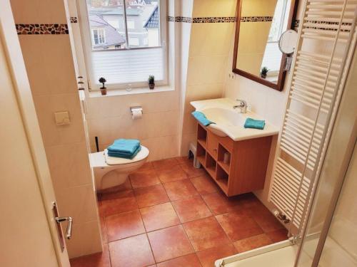 キュールングスボルンにあるAppartmenthaus Ostseestrandのバスルーム(トイレ、洗面台、鏡付)