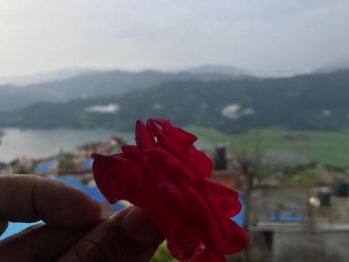 a person holding a red flower in their hand at Hilltop Restaurant and guesthouse in Pokhara