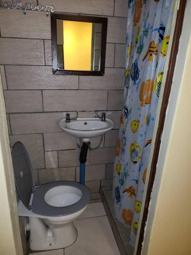 a small bathroom with a toilet and a sink at At Blackwood Guesthouse in Pretoria