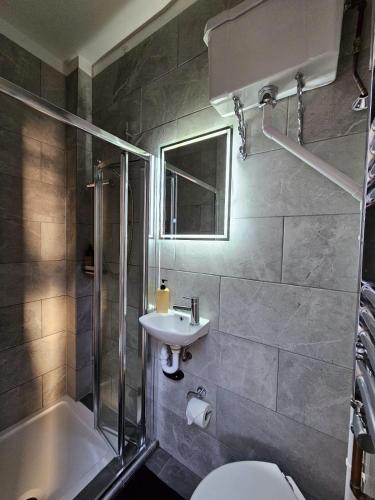 a bathroom with a toilet and a sink and a shower at Putney Thames garden flat in London