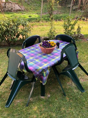 una mesa de picnic con un tazón de flores. en Camera Privata Glicine, en Castellero