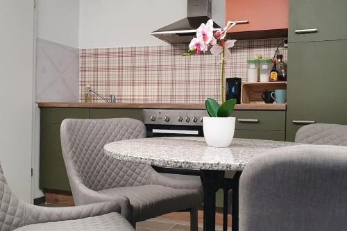a kitchen with a table with chairs and a table with a plant at Lakeview Basement Apartment near Interlaken in Niederried