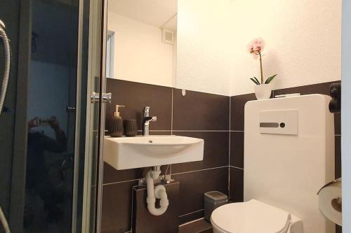 a bathroom with a sink and a toilet at Lakeview Basement Apartment near Interlaken in Niederried