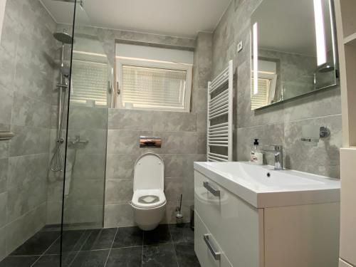 y baño con aseo, lavabo y ducha. en Apartman MERI, en Strmec Samoborski