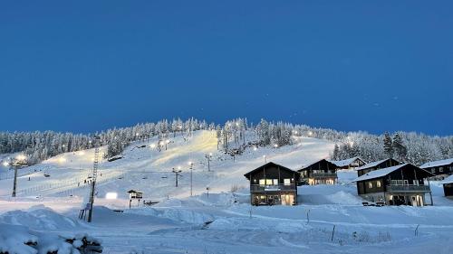 Blåfjell Stugby en invierno