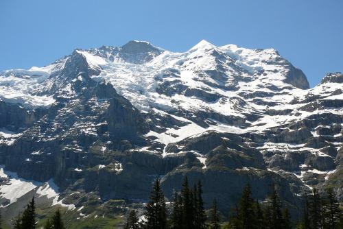 a snow covered mountain with trees in front of it at Chalet Acheregg in Wengen