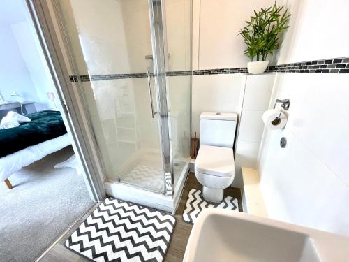 ein Bad mit einer Dusche und einem WC in der Unterkunft Stylish Cosy and Bright Apartment - Fantastic Location - Perfect for Business or solo travellers in Bishops Stortford