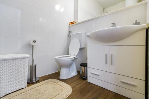 La salle de bains est pourvue d'un lavabo et de toilettes. dans l'établissement Apartman KALI, à Kali