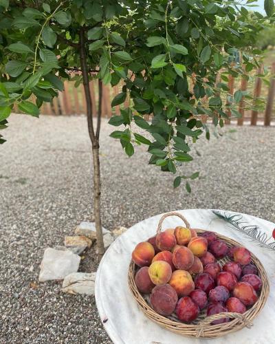 a basket of fruit on a plate next to a tree at Lavender farm house in Nafpaktos