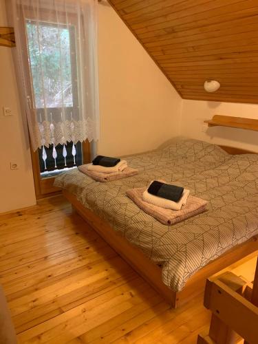 sypialnia z 2 łóżkami i oknem w obiekcie Apartments Nune 2 w mieście Zreče
