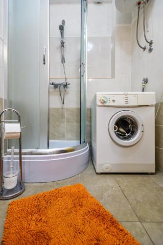 a washing machine in a bathroom with a shower at Apartman KALI in Kali