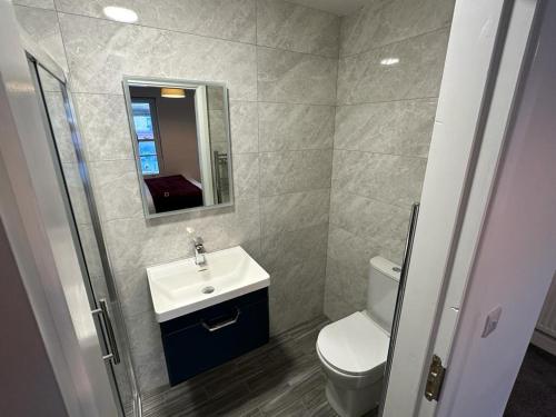 a bathroom with a sink and a toilet and a mirror at Mary Mullen's Rooms Eyre Square. in Galway