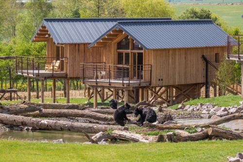 un gruppo di orsi neri seduti sui tronchi di fronte a una casa di Parc Animalier de Sainte-Croix a Rhodes