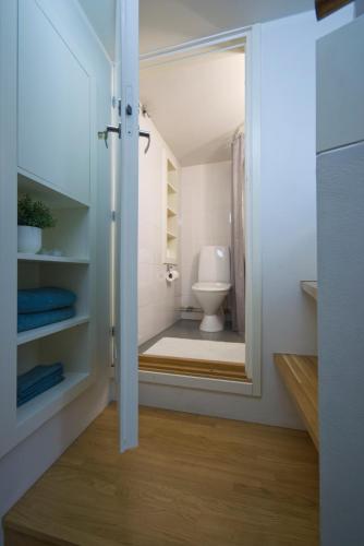 a bathroom with a toilet and a mirror at Chic Studio in Historic Kruununhaka, Helsinki in Helsinki
