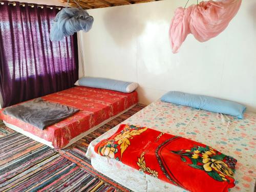 twee bedden in een kamer met paarse gordijnen bij Casablanca Beach Camp in Nuweiba‘ el Muzeinah