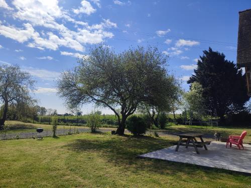 a picnic table and a tree in a field at Gîte La Pâquerie in Le Louroux-Béconnais