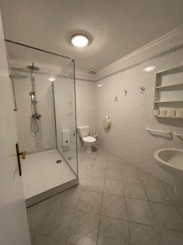 a bathroom with a shower and a toilet and a sink at Harrachov 624 in Harrachov
