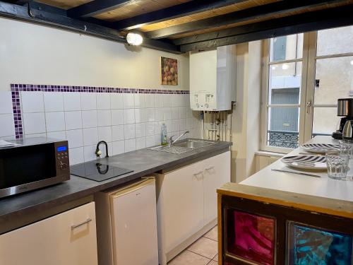 une cuisine avec un évier et un micro-ondes dans l'établissement Appartement Le Cadet Roussel Auxerre Les Quais, à Auxerre