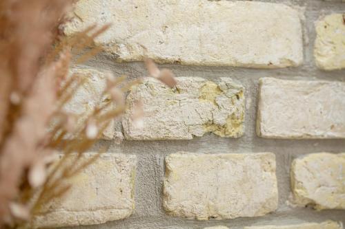 a stone brick wall with a plant in the foreground at Lukiskes square apartment (Oldtown) in Vilnius