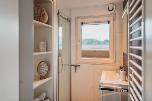 a bathroom with a shower and a sink and a window at Floatinghouses Spreewald in Vetschau