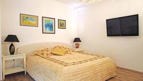 a bedroom with a bed and a flat screen tv at Cosy Studio with Garden Near the Prague Airport 